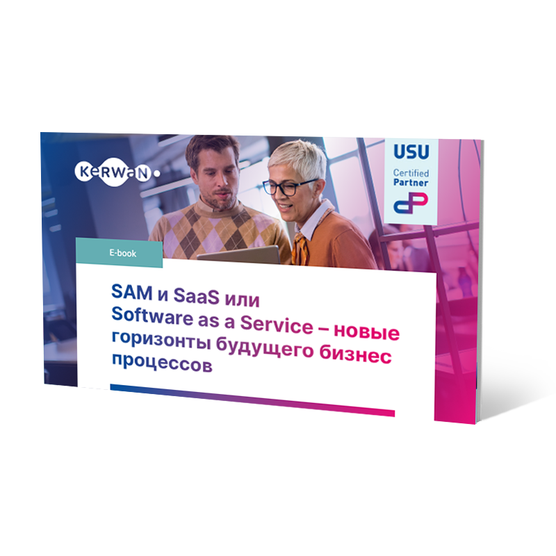 SAM и SaaS или Software as a Service – новые горизонты будущего бизнес‑процессов