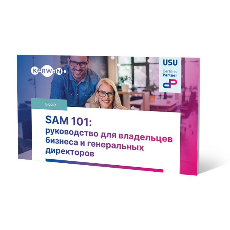 SAM 101: руководство для владельцев бизнеса и генеральных директоров
